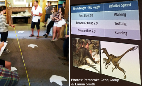 Dinosaur footprints - measuring stride length